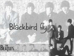 Best ringtones free download quicky: Blackbird